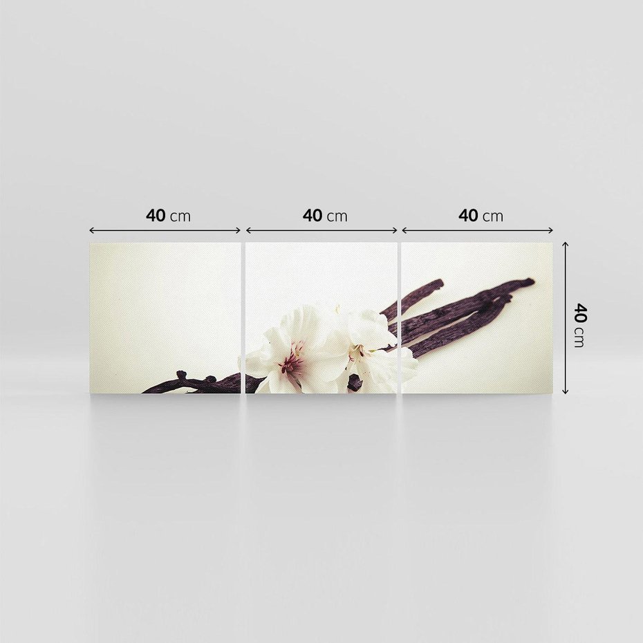 Obraz na płótnie 120x40 - Czuła delikatność wanilii - wanilia, kwiaty