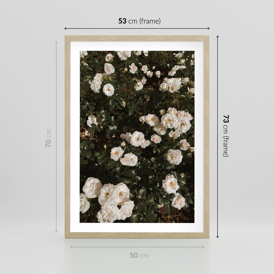 Plakat w ramie 50x70 - Czyste Piękno - białe kwiaty, białe róże - rama drewno