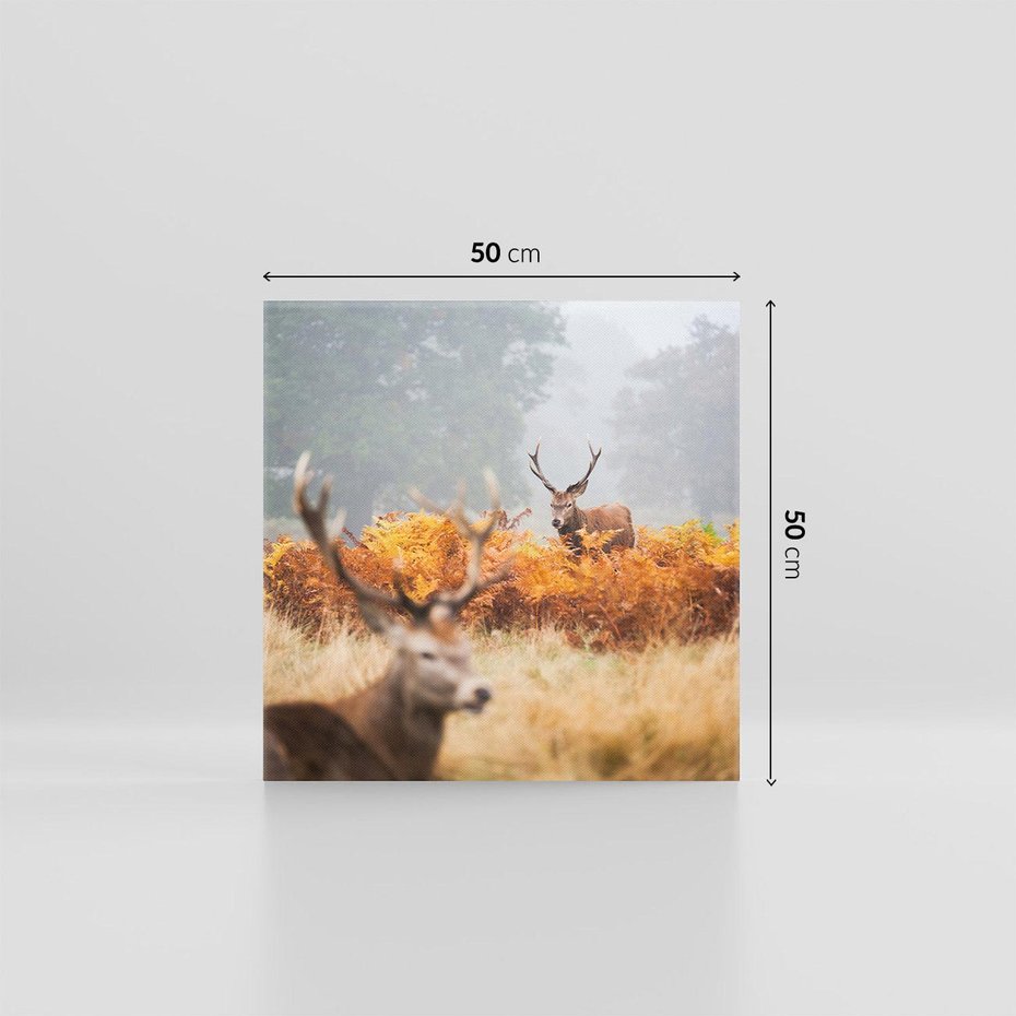 Obraz na płótnie 50x50 - Malownicza Harmonia - jelenie, jesień