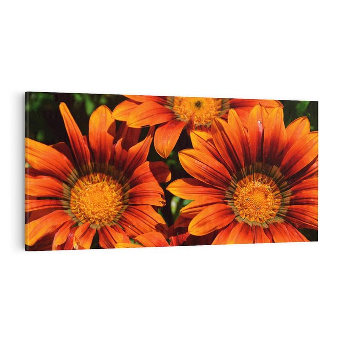 Obraz na płótnie 100x50 - Kwiatowa Esencja - kwiat, kwiaty