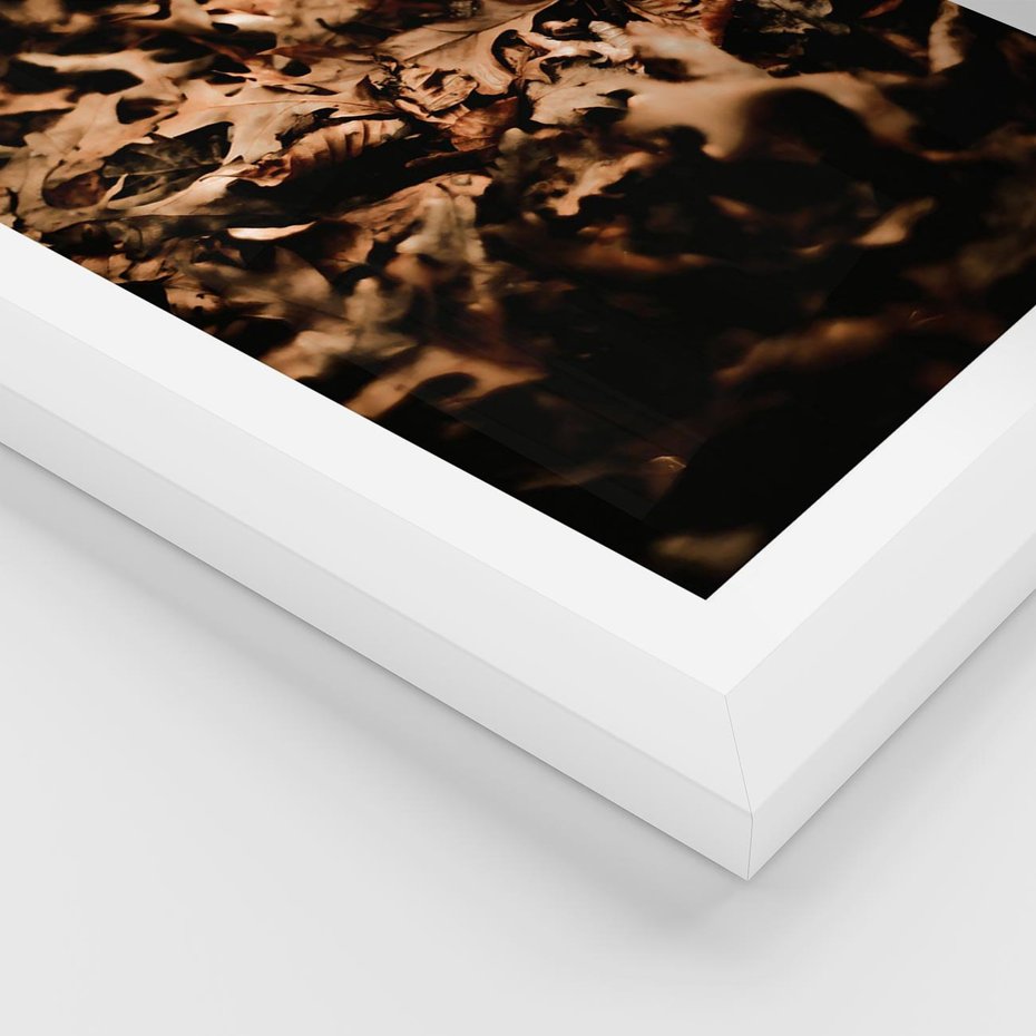 Plakat w ramie 30x40 - Jesienne Liście: Nostalgiczna Kolorystyka - suche liście, jesień - rama biała