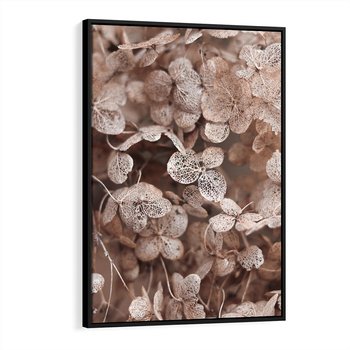 Obraz w ramie 70x100 - Przemijająca Piękność - fotografia, zbliżenie - rama czarna