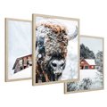 Zestaw obrazy w ramie 50x70 galeria - Zima, bizon, góry, śnieg - rama drewno