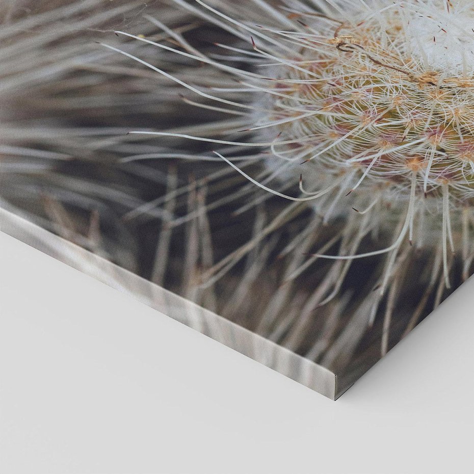 Obraz na płótnie 30x30 - Ulotna Piękność Natury - makro, dmuchawce