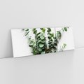 Obraz na płótnie 150x50 - Eukaliptusowa harmonia - eukaliptus, liście