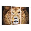 Obraz na płótnie 120x80 - Król zwierząt w majestatycznym stylu - lew, król
