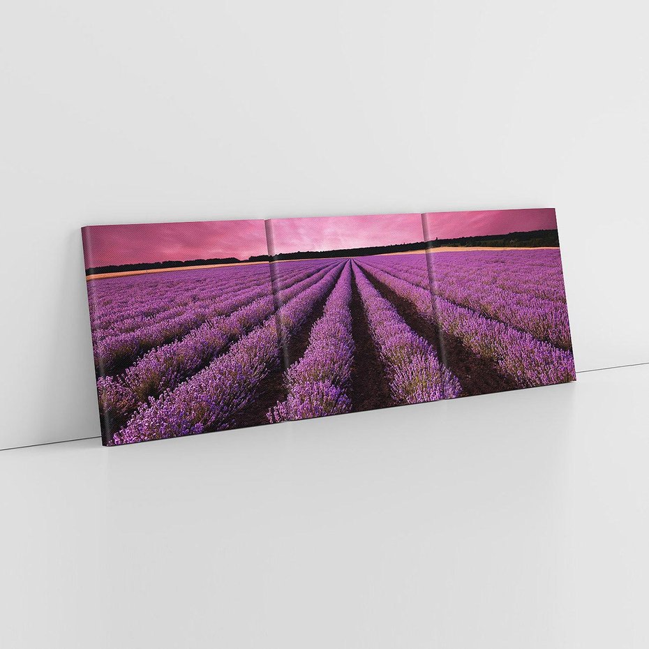 Obraz na płótnie 120x40 - Pola lawendy w pełnym rozkwicie - Lawenda, krajobraz