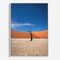 Obraz w ramie 80x120 - Słońce i Suche Drzewo - pustynia, suche - rama biała