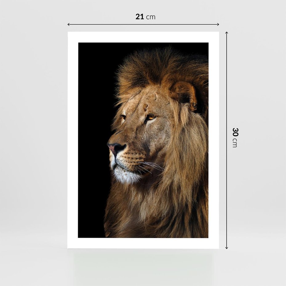 Plakat bez ramy 21x30 - Władca Dzikiej Przyrody - lew, król