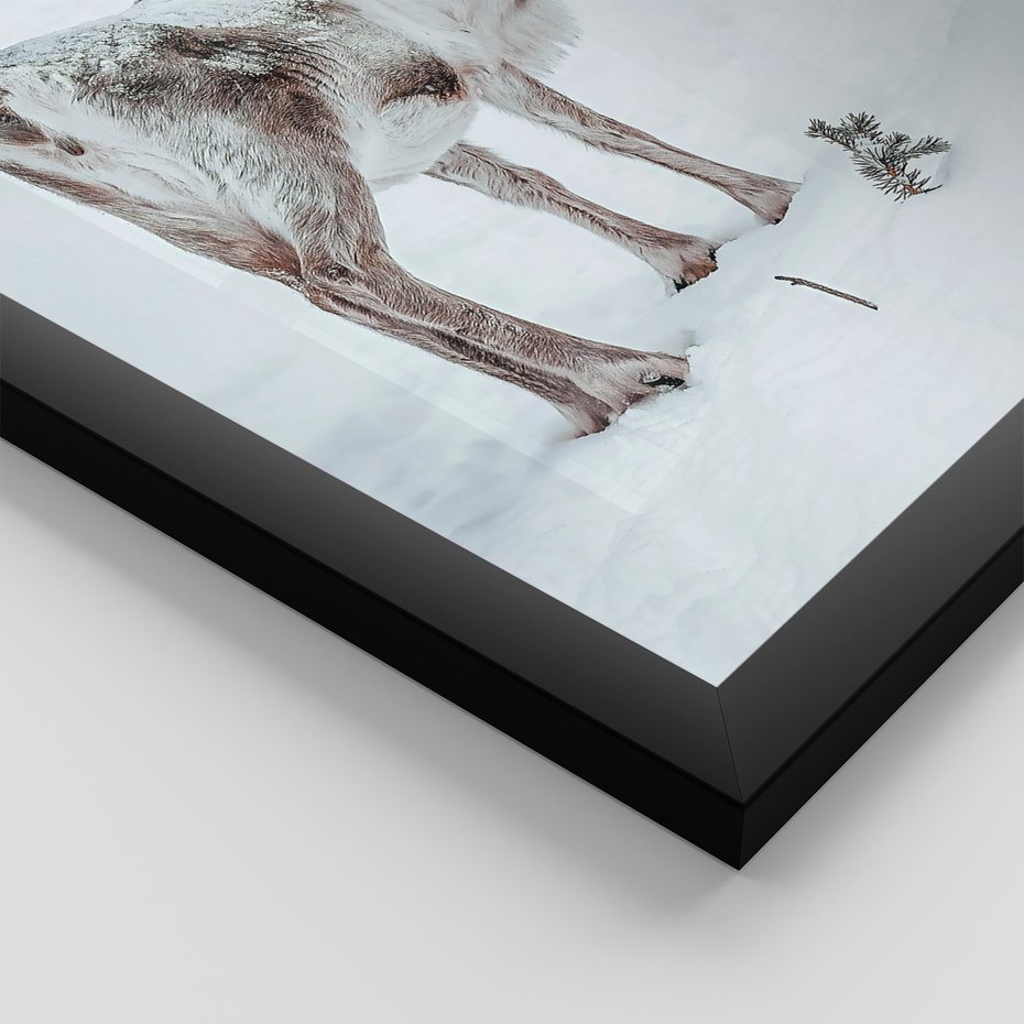 Zestaw obrazy w ramie 40x50 galeria - Zimowy, widok, renifer - rama czarna