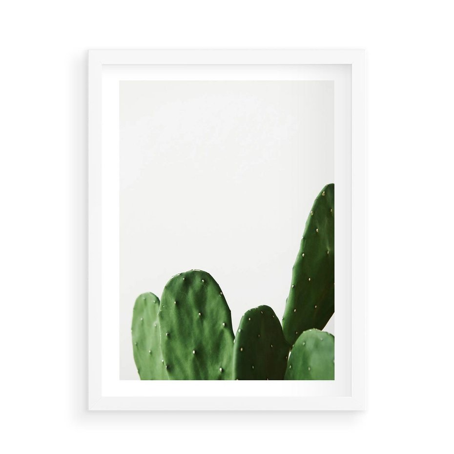 Plakat w ramie 50x70 - Minimalizm Natury - kaktus, zbliżenie - rama biała