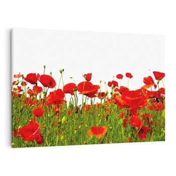 Obraz na płótnie 120x80 - Bujne maki na malowniczej łące - mak, maki