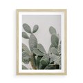 Plakat w ramie 50x70 - Imponujący Kaktus - duży kaktus, opuncja - rama drewno