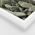 Plakat w ramie 30x40 - Kaktusowa Harmonia - kaktusy, fotografia - rama biała