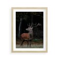 Plakat w ramie 40x50 - Spotkanie z naturą - jeleń, las - rama drewno