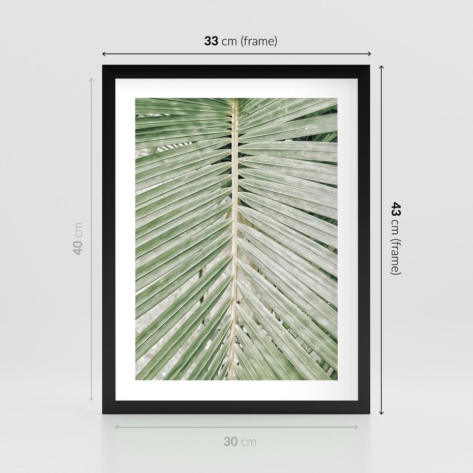 Plakat w ramie 30x40 - Jasna Zieleń Palmy - liść palmy, zbliżenie - rama czarna