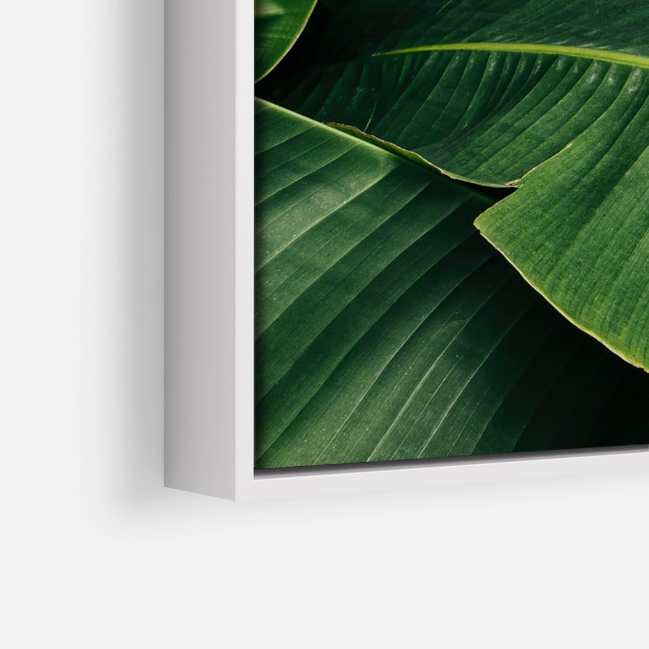 Obraz w ramie 50x70 - Zaklęta roślinna ekspresja - liście bananowca, gęsto ułożone - rama biała