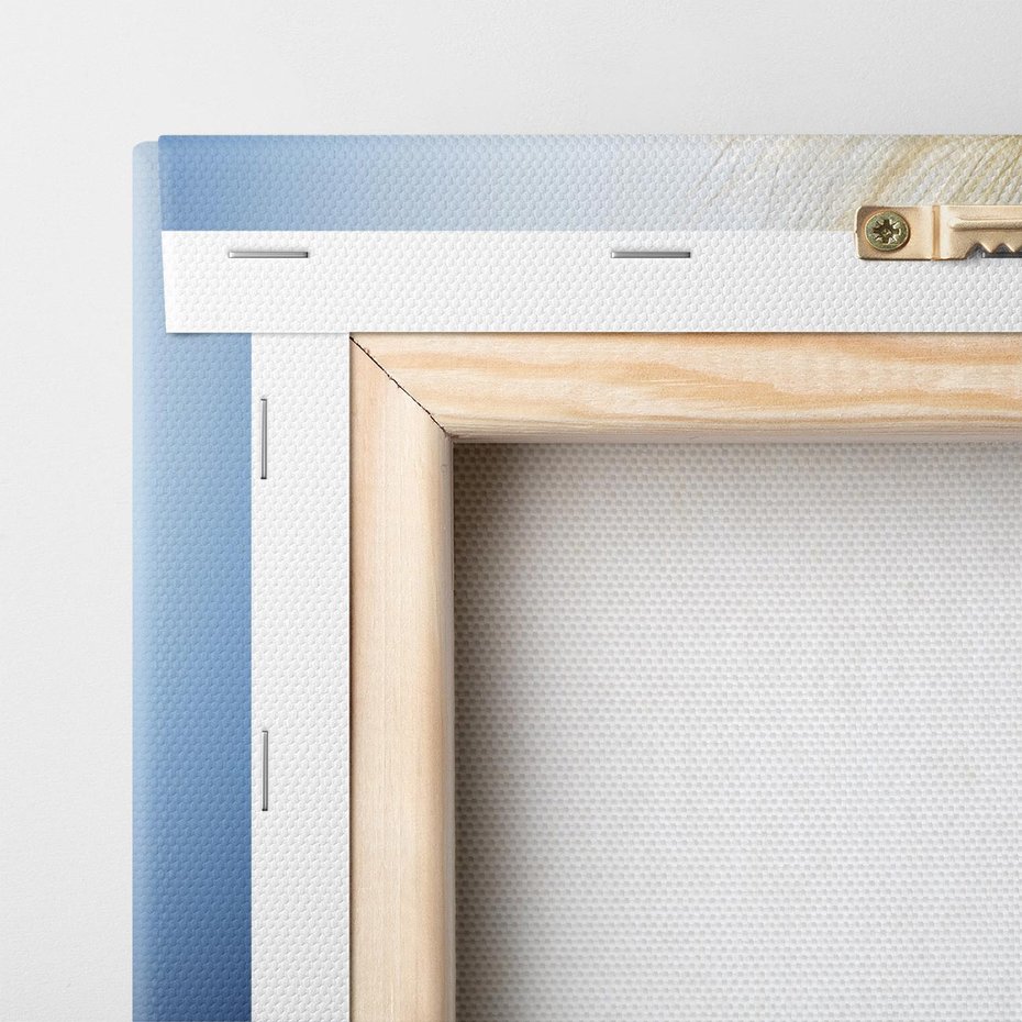 Obraz na płótnie 30x30 - Delikatny dmuchawiec w pełnym rozkwicie - dmuchawiec, kwiat