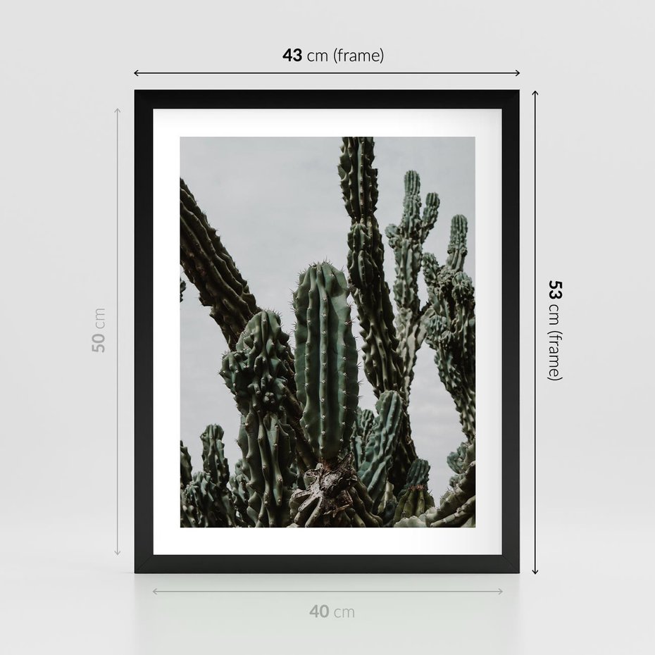 Plakat w ramie 40x50 - Boho oaza wśród kaktusów - kaktusy, pustynia - rama czarna