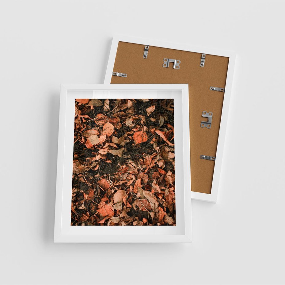 Plakat w ramie 40x50 - Jesienny Splot: Pomarańczowe Liście - liście, pomarańczowe suche liście - rama biała