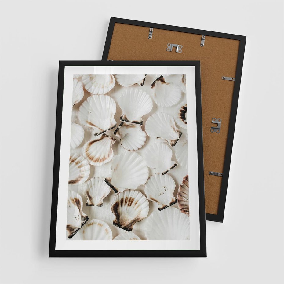Plakat w ramie 50x70 - Białe Muszle - białe muszle, ujęcie z góry - rama czarna