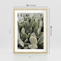 Plakat w ramie 30x40 - Kaktusowa Harmonia - kaktusy, fotografia - rama drewno