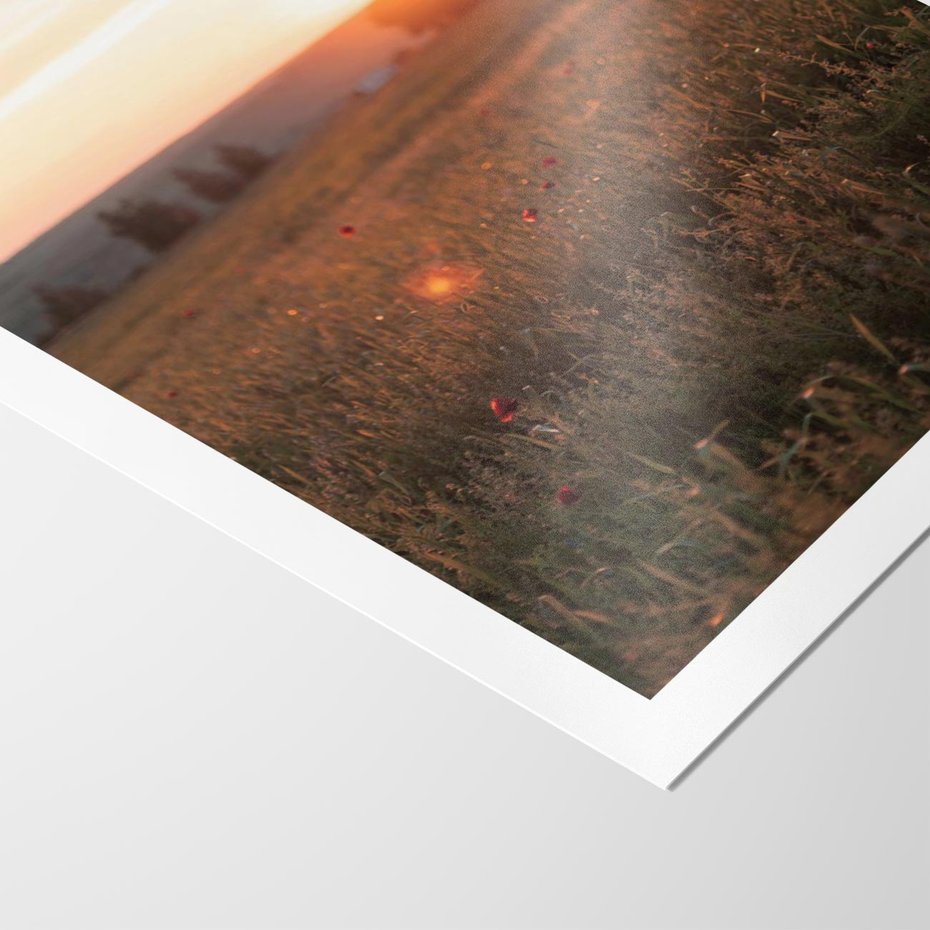Plakat bez ramy 21x30 - Łąka we Wschodzącym Słońcu: Magia Poranka - łąka, krajobraz