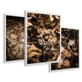 Zestaw obrazy w ramie 50x70 galeria - Las, jesień, jeleń - rama biała