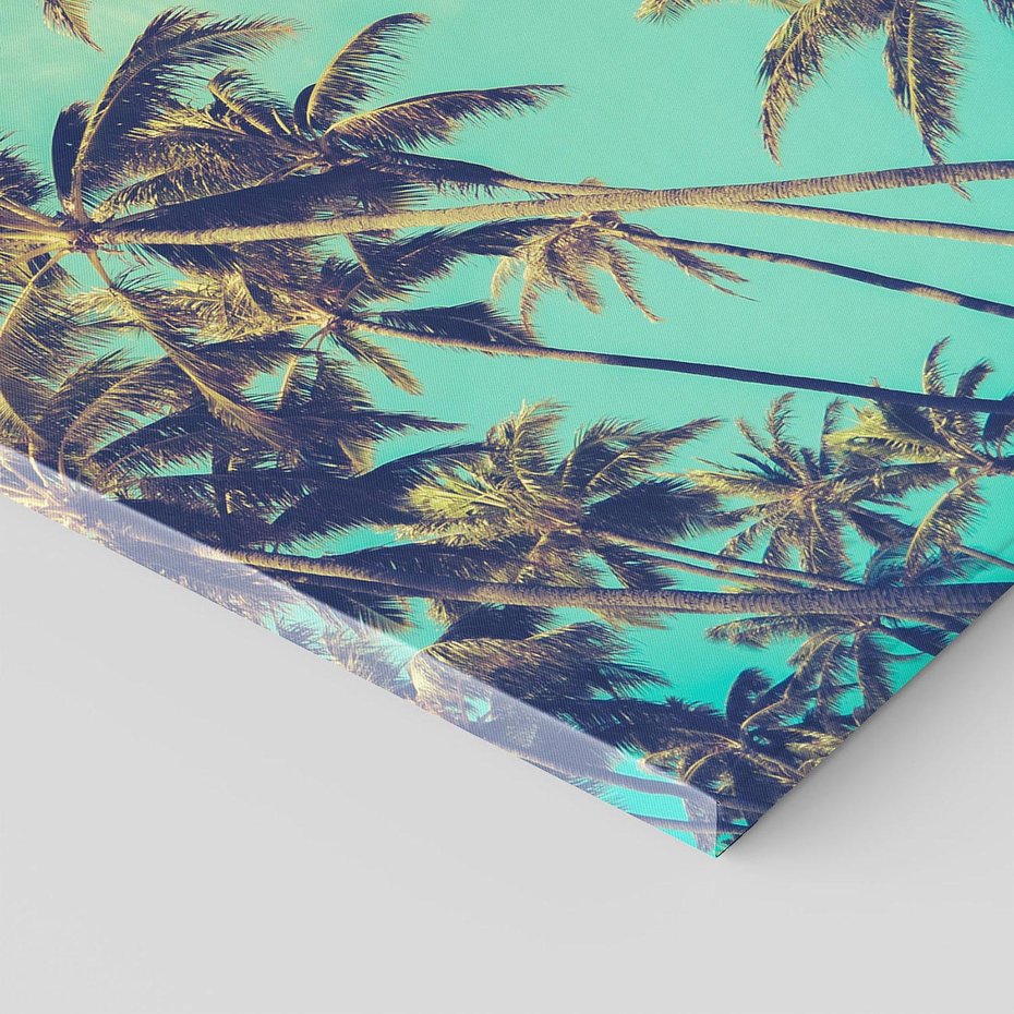 Obraz na płótnie 70x100 - Tropikalne palmy w krainie słonecznych wakacji - palmy, tropiki