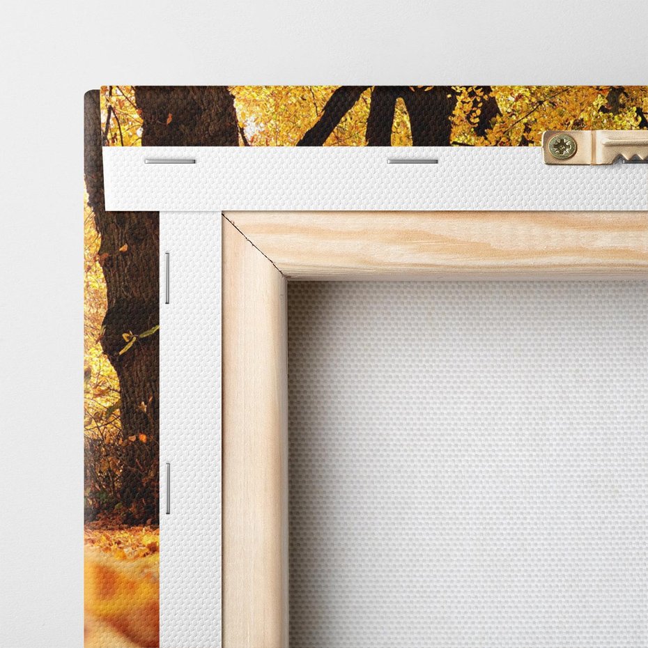 Obraz na płótnie 140x70 - Jesień, Liście, Park - Kolorowa Symfonia - jesień, liście