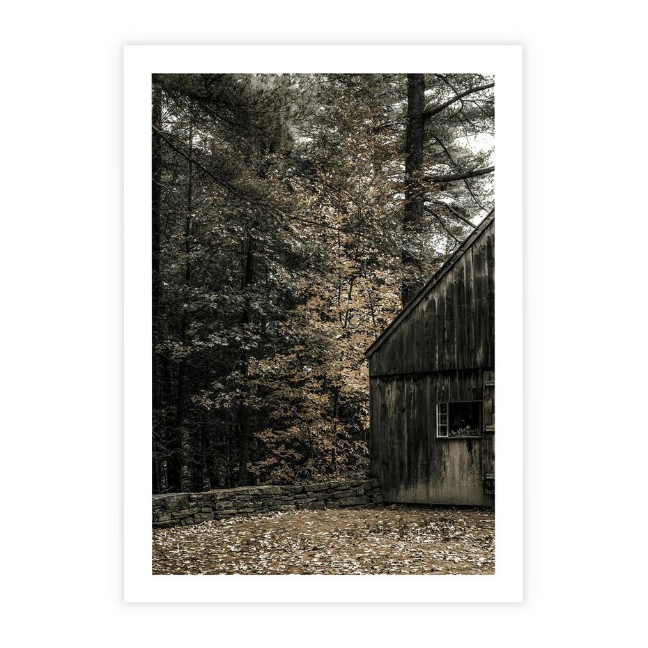 Plakat bez ramy 21x30 - Dom w Lesie - chatka w lesie, górski domek