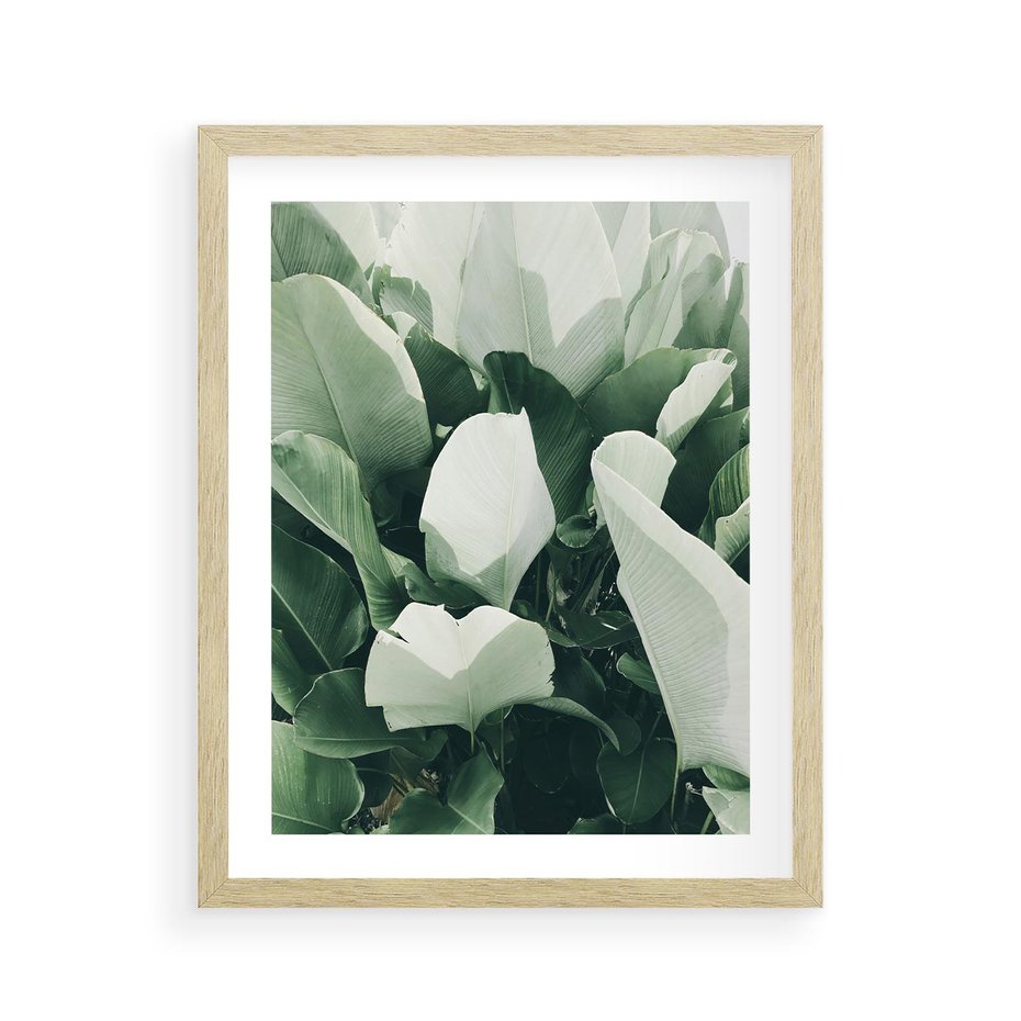 Plakat w ramie 40x50 - Zgaszona Uroda Natury - zielone liście, zgaszona zieleń - rama drewno