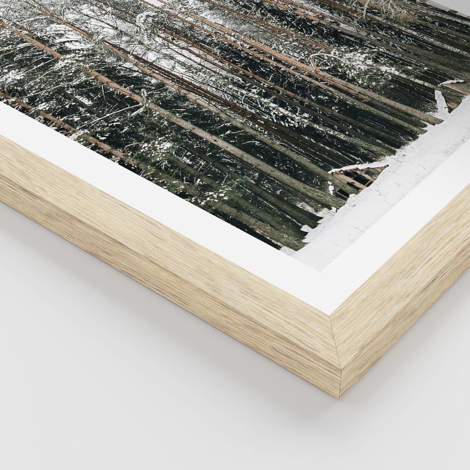 Plakat w ramie 50x70 - Sypiący Śnieg - las w zimie, drzewa pod śniegiem - rama drewno