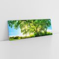 Obraz na płótnie 150x50 - Natura w pełnym rozkwicie - drzewo, niebo
