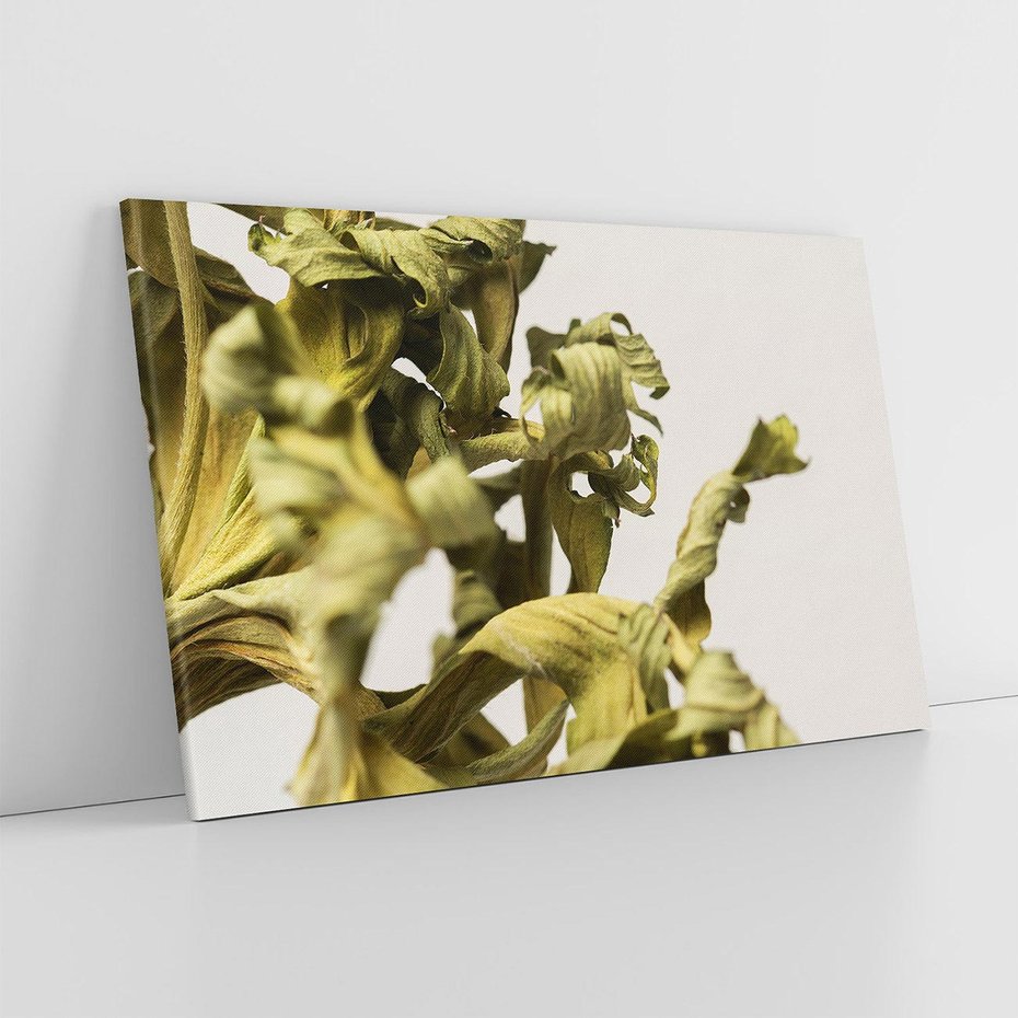 Obraz na płótnie 120x80 - Odejście pory deszczowej - suche, trawy