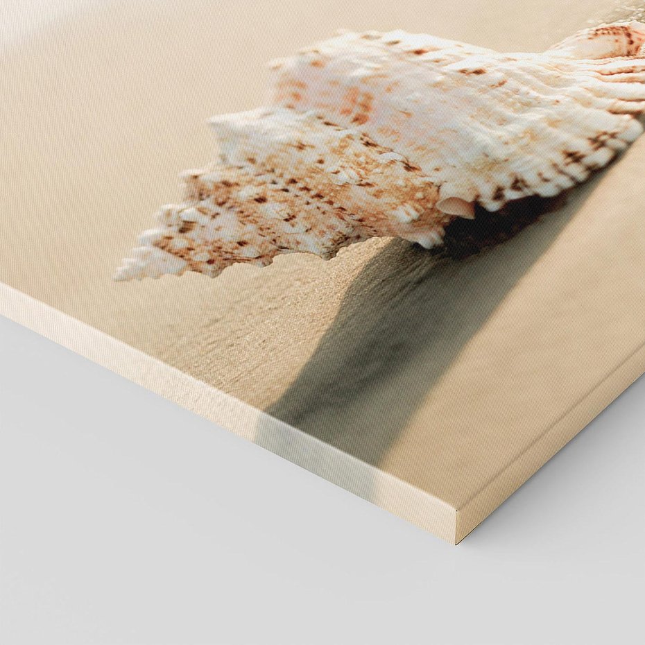 Obraz na płótnie 120x80 - Urok plażowej muszelki - fotografia, muszla na plaży