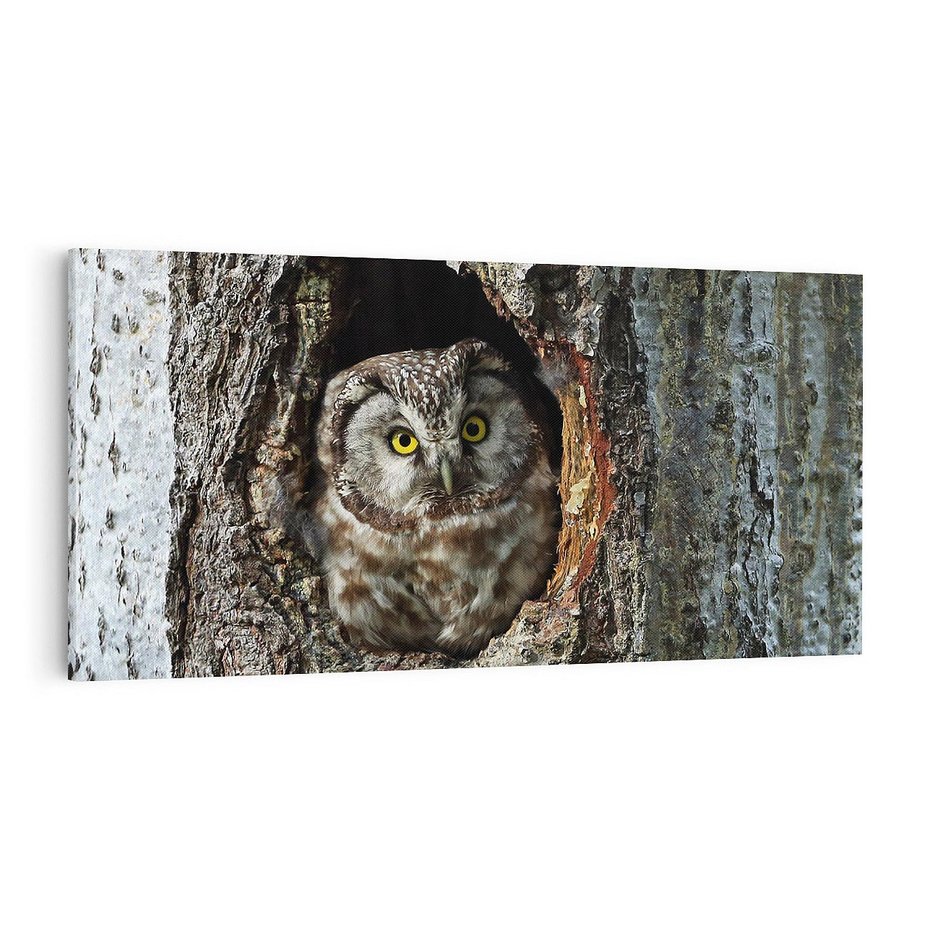Obraz na płótnie 100x50 - Tajemniczy W świecie Nocy - sowa, dziupla