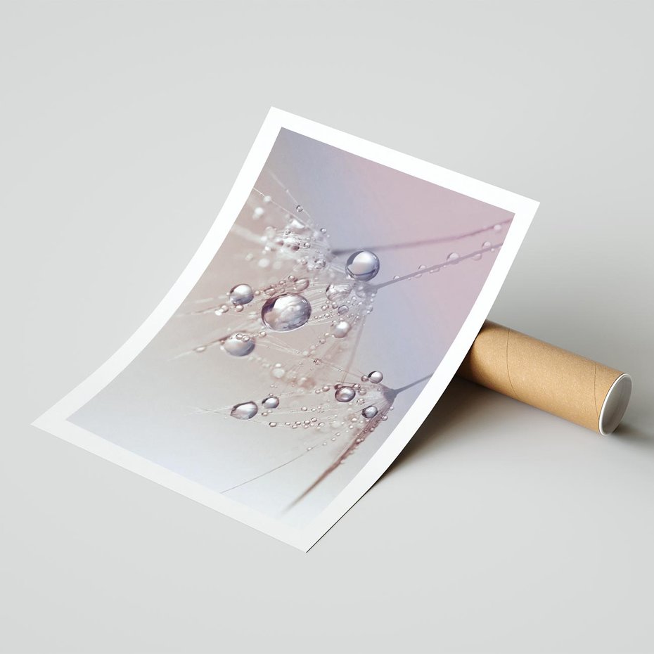 Plakat bez ramy 50x70 - Delikatne Natchnienie - krople, dmuchawce