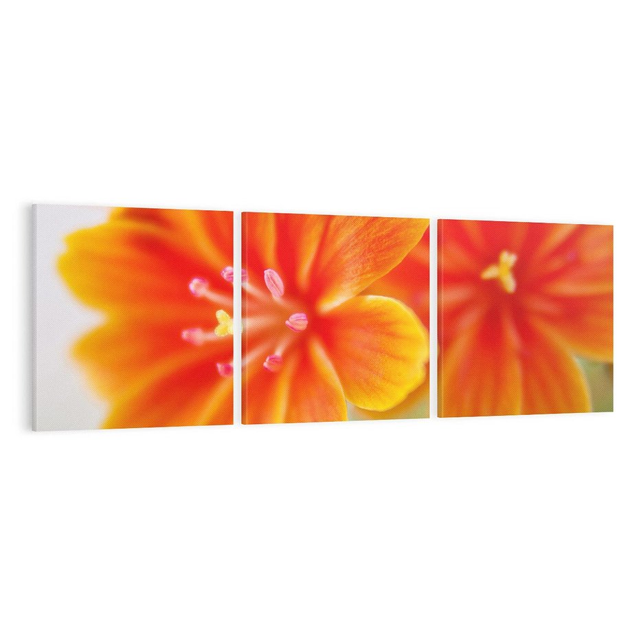 Obraz na płótnie 120x40 - Urok kwiatów - kwiat, kwiaty