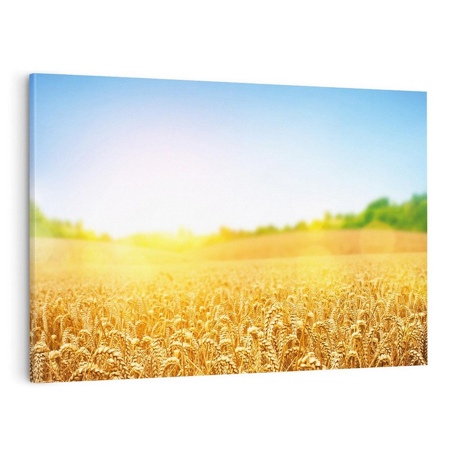 Obraz na płótnie 120x80 - Żyzne Pola - pole, pszenicy
