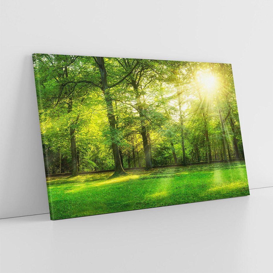 Obraz na płótnie 120x80 - Moc lasu - las, drzewa