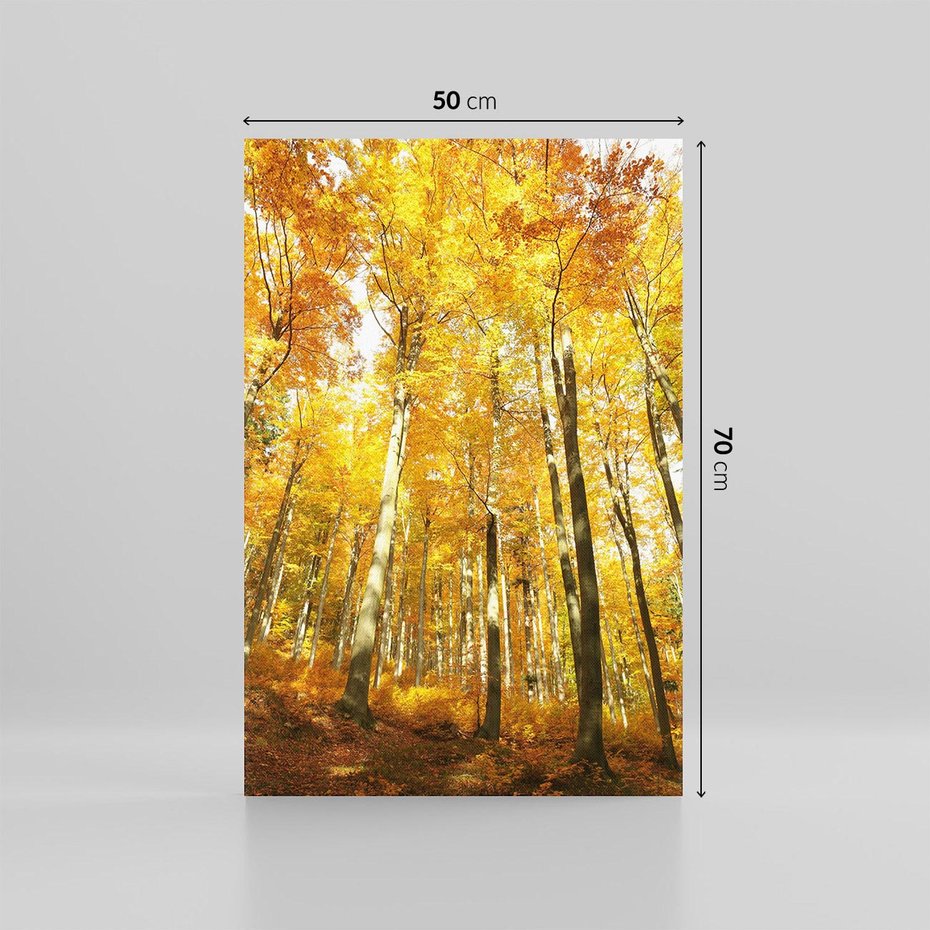 Obraz na płótnie 50x70 - Jesienny Las - Kolorowa Paleta Natury - jesień, drzewa