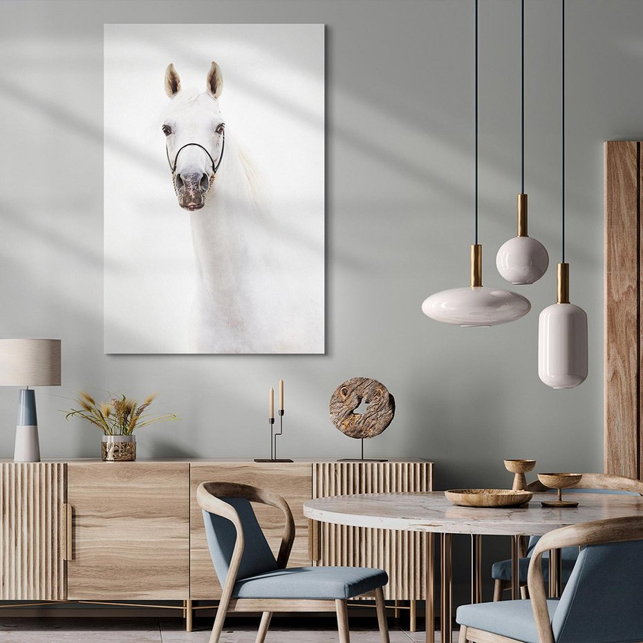 Obraz na płótnie 50x70 - Elegancja białego konia - biały, koń