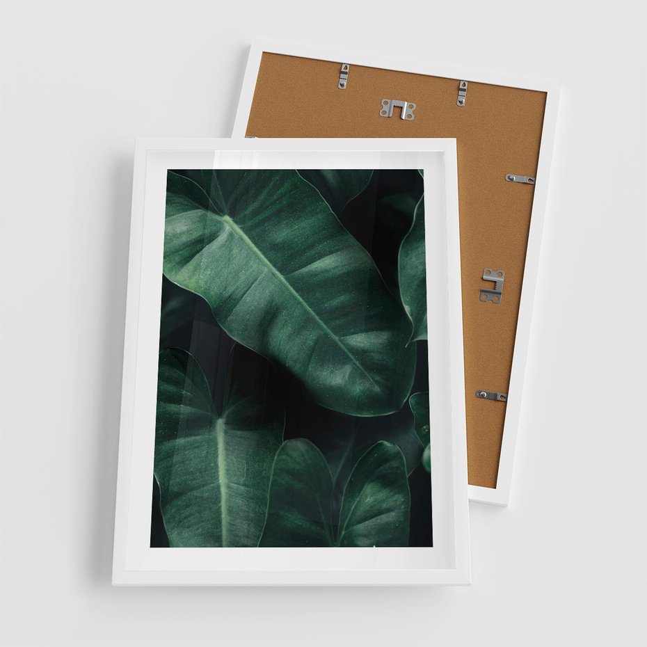 Plakat w ramie 50x70 - Liście Bananowca - minimalizm, zielone liście bananowca - rama biała