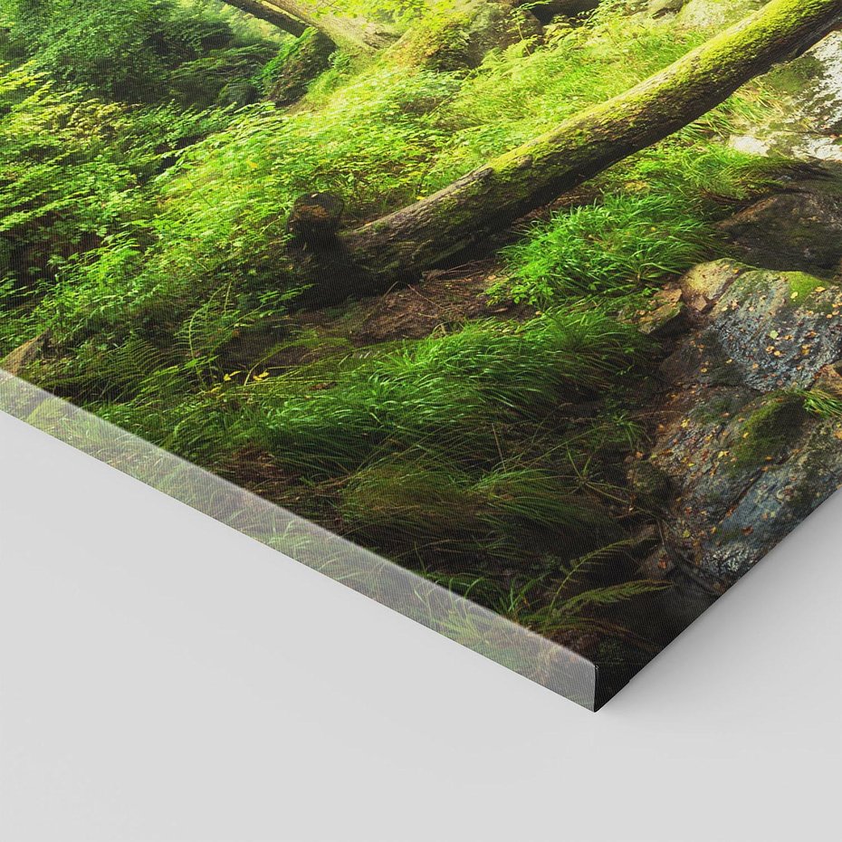 Obraz na płótnie 120x80 - Magiczny Strumień w Lesie - strumień, las