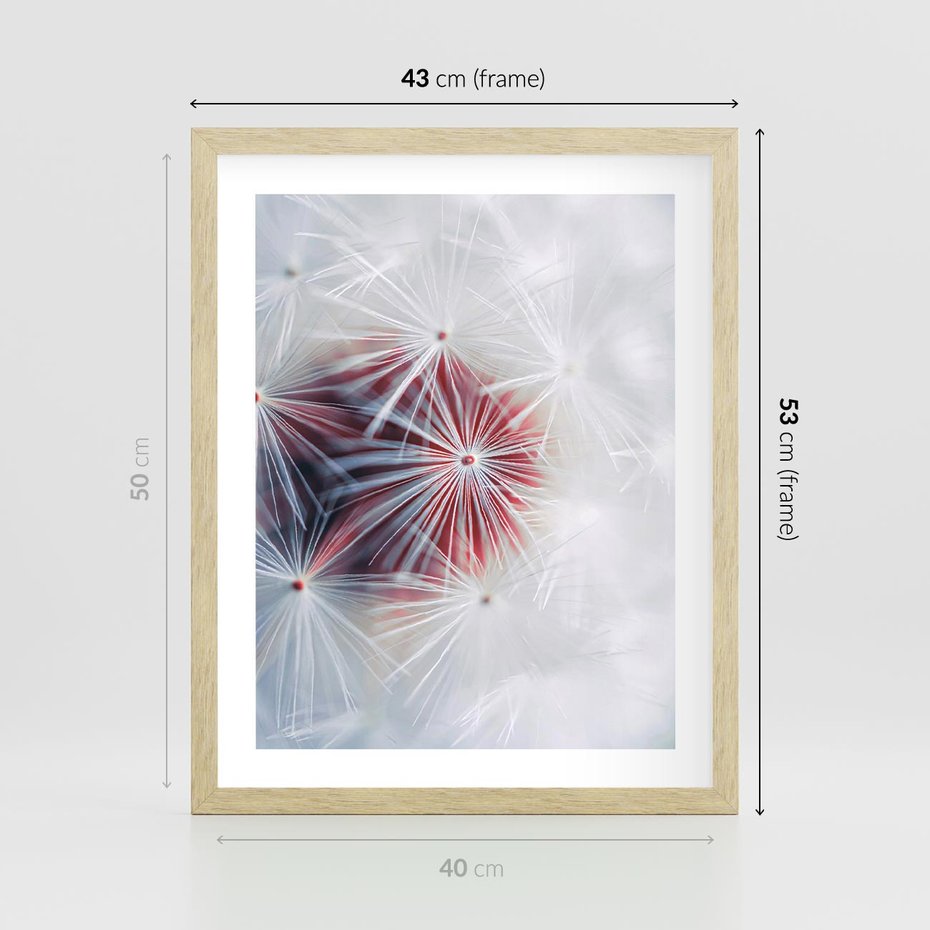 Plakat w ramie 40x50 - Minimalistyczna Delikatność - zbliżenie, dmuchawce - rama drewno