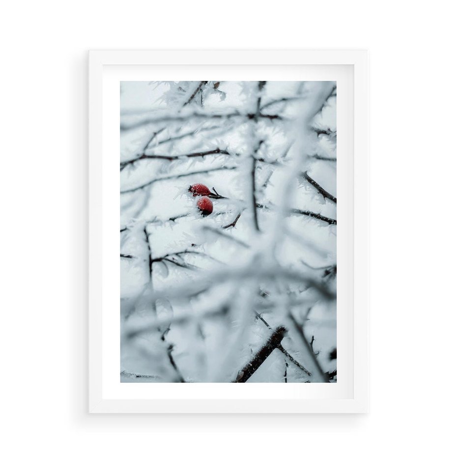 Plakat w ramie 50x70 - Zima w Detalu: Gałęzie ze Szronem i Śniegiem - śnieg, zima - rama biała