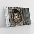Obraz na płótnie 120x80 - Tajemniczy W świecie Nocy - sowa, dziupla