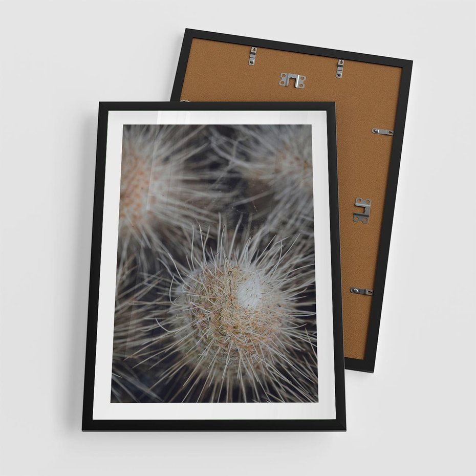 Plakat w ramie 50x70 - Ulotna Piękność Natury - makro, dmuchawce - rama czarna
