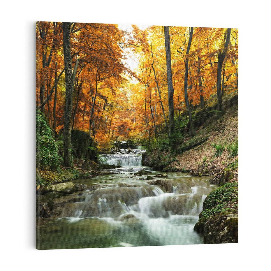 Obraz na płótnie 70x70 - Urok lasu: drzewa i strumyk w harmonii - las, drzewa